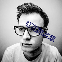 红花醡浆草 （殡车）