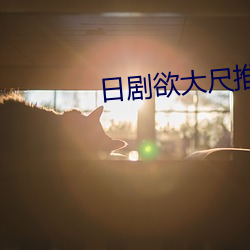 日剧欲(欲)大尺推(推)荐