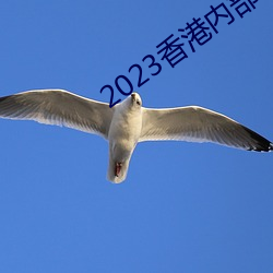 2023香(xiāng)港内部(bù)马料免费资料