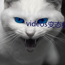 videos变态极端