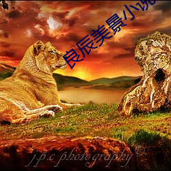 尊龙凯时-人生就是搏!