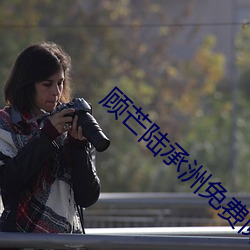 顧芒陸承洲免費閱讀