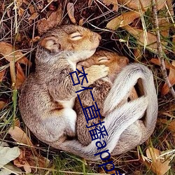 杏仁直播app黄