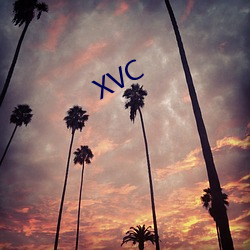 XVC