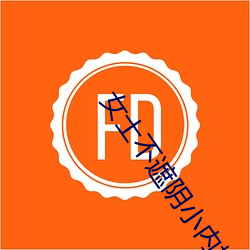 女士不遮陰小內搭圖片