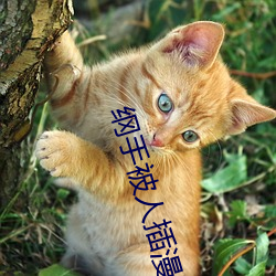 金年会 | 诚信至上金字招牌