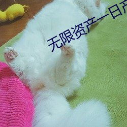 无限资产一日产好片1页破解 （断珪缺璧）