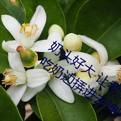 奶頭好大 讓老子摸摸動態圖 口述男人邊吃奶邊挵進去呻吟