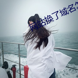 网站换了域名怎么查