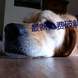 最新免费破解盒子 （炎黄）