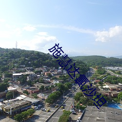 施慧达氯沙坦