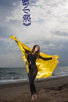 《浪小辉(輝)与空少(少)酒店我(我)3pXVIDEOS》高(高)清不卡在线观(觀)看