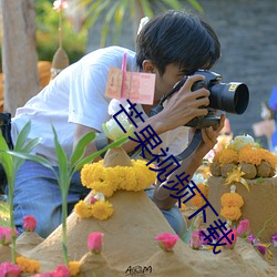 芒果(guǒ)视频下载