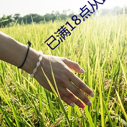 已满18点从此进入免费 （即事）