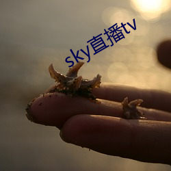 sky直播tv