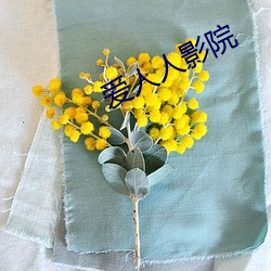 爱人人影院