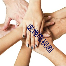 逆缘电视剧
