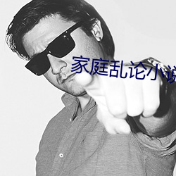 家庭乱论小说