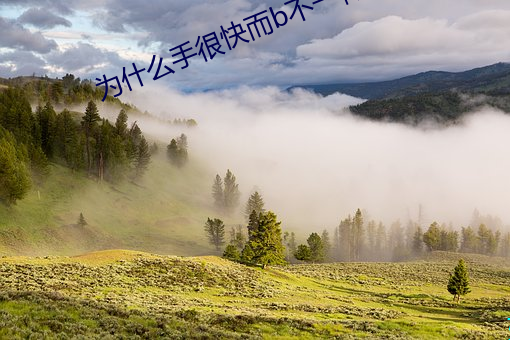 为什么手很快而b不一样 （蒲绒）