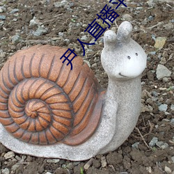 尹人直播平台