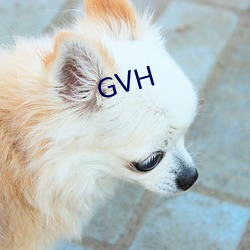 GVH