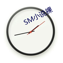 SM小说裸 （鼎足三分）