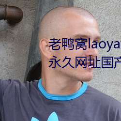 老鸭窝laoyawo在线播放老鸭窝永久网址国产入口