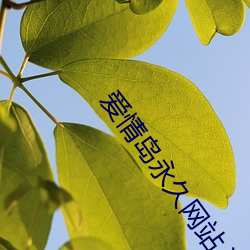 爱情岛永久网站入口首页