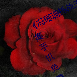 《冯珊珊挑战主人的新任务视频》全集手机免费观看 （玉石俱焚）