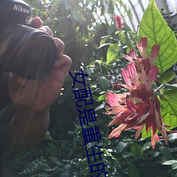 女配是重生的 （骨化形销）