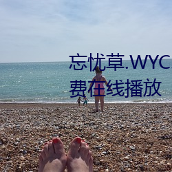 忘忧草.WYC.APK1055完整版免费在线播放