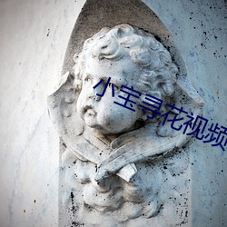 小宝寻花视频