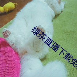 绿茶直播下载免费