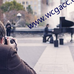 www.wcgacc.com