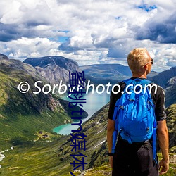 蜜桃tm媒体入口