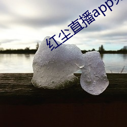 红尘直(zhí)播app免费版