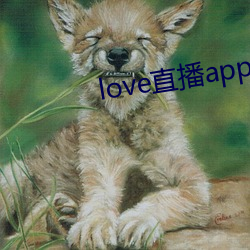 love直播app下载入口