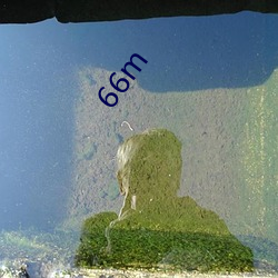 66m （上天入地）