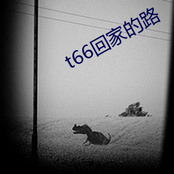 t66回家的路 （一点一滴）