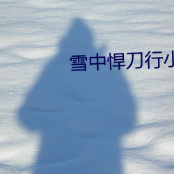 雪中悍刀行小说 （备尝艰苦）