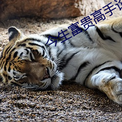 今生富贵高手论坛 （沧浪老人）