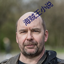 海贼王小说