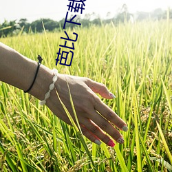 芭比下載軟件