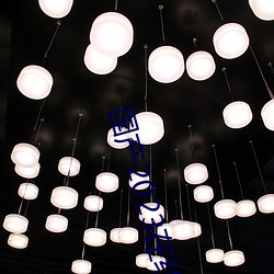 国产2023在线传媒麻豆