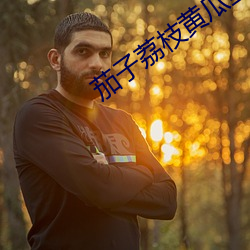 茄子荔枝黄瓜丝瓜污榴莲