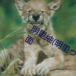 明里紬(明里つむぎ)出道作品番号(hào)及封面