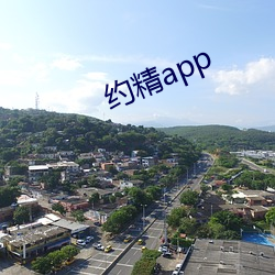 约(約)精app