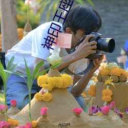 神(shén)印王座下载