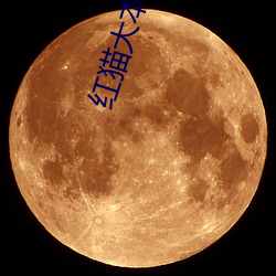 红猫(貓)大(大)本营视(視)频在线观(觀)看(看)
