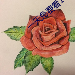 一天免费看10次的app （心细）